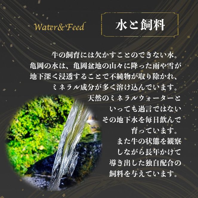 ＜亀岡牛専門店（有）木曽精肉店＞「亀岡牛サーロインステーキ」500g ※冷凍（冷蔵も指定可） ふるさと納税牛肉 ステーキ ☆祝！亀岡牛 2023年最優秀賞（農林水産大臣賞）受賞