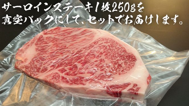 【 常陸牛 】 A5 等級 サーロインステーキ 500g (250g×2枚) あらぎり わさび 付 （茨城県 共通返礼品：守谷市） ひたちぎゅう ブランド牛 ステーキ サーロイン 国産牛 黒毛和牛 和牛 国産黒毛和牛 お肉 A5ランク 山葵 ワサビ [BX93-NT]