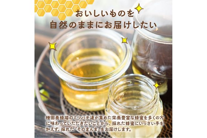 《14営業日以内に発送》国産蜂蜜 はちみつ食べ比べセット 190g×2本セット ( はちみつ ハチミツ 蜂蜜 ハニー 食べ比べ セット ふるさと納税 北見市 北海道北見市 種田養蜂場 はち ミツバチ )【022-0008】