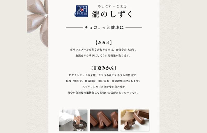 G1084 【スピード発送】甘夏みかんチョコレート 2箱セット  瀧のしずく