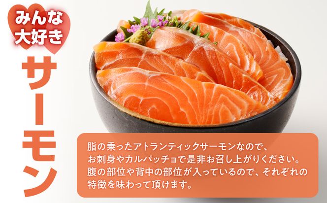 アトランティックサーモン 1kg K008-009（鹿児島県鹿児島市