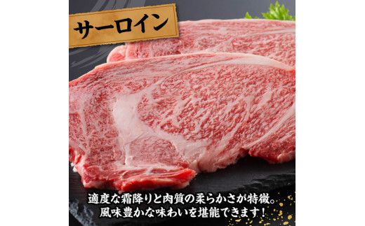 宮崎牛 サーロインステーキ 600g 【 肉 牛肉 国産 宮崎県産 黒毛和牛 サーロインステーキ 】[C11408]