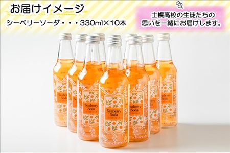 北海道 シーベリーソーダ 330ml×10本 シーベリー サイダー 炭酸飲料 サジー シーバックソーン 沙棘 スーパーフルーツ ミラクルフルーツ お取り寄せ 送料無料 十勝 士幌町【C01】