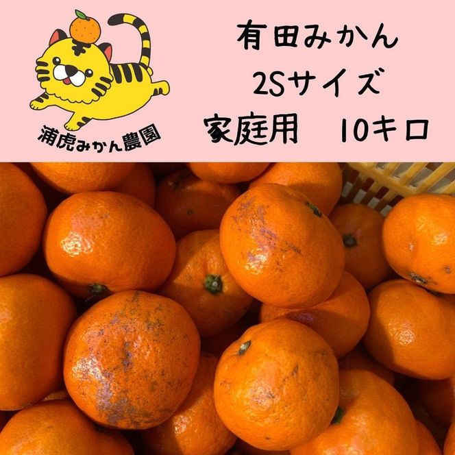 小さなミカンが好きな人におすすめ】訳あり温州みかん【家庭用