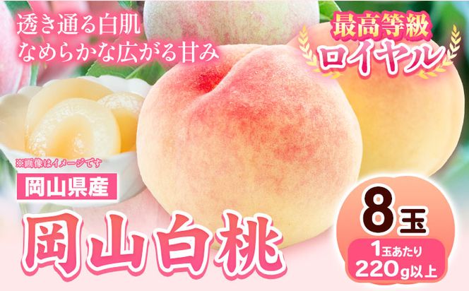 yR|zys\z RY R 8 (220gȏ) yzsn悠z s7{-8{oׁt R |    ʕ---osy_chbf2_ak7_26_24500_8---