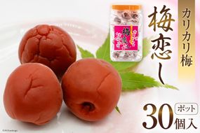 梅干し 梅恋しポット 30個入 [山梨農産食品 山梨県 韮崎市 20742105] 梅干 うめぼし 個包装 梅 漬物 つけもの おやつ おつまみ 熱中症予防