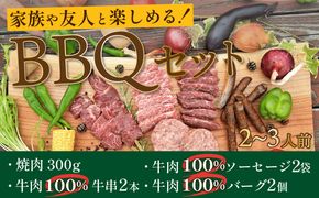 家族や友人と楽しめるバーベキューセット（焼肉・牛肉バーグ・牛肉ソーセージ・牛串）キャンプ、BBQ、パーティー、アウトドアにどうぞ　NH00023