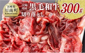 宮崎県産黒毛和牛 切り落とし ３００ｇ [G0510]