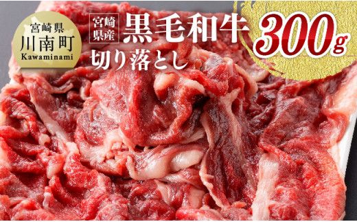 宮崎県産黒毛和牛 切り落とし 300g 【 肉 牛肉 黒毛和牛 精肉 】 [G0510]