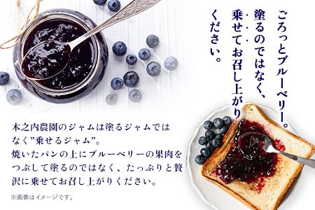 【ふるさと納税】果実ぎっしり！木之内農園の手作りいちごジャムとブルーベリージャム　2kg（1kg×2本）《30日以内に出荷予定(土日祝を除く)》 熊本県南阿蘇村 イチゴ 苺 減農薬 大粒 ブルーベリー 乗せるジャム---isms_kinonstbb_30d_r7_15500_2kg---