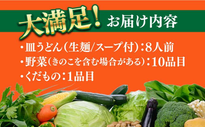 長崎皿うどん 8人前 野菜 10品目 果物 1品目 セット / 皿うどん かた焼きそば 南島原市 / 贅沢宝庫 [SDZ002]