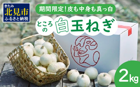 【予約：2026年7月中旬から順次発送】ところの白玉ねぎ 2kg ( 玉ねぎ タマネギ 玉葱 野菜 白玉ねぎ 2キロ 期間限定 辛みが少ない 生食 )【121-0013-2026】