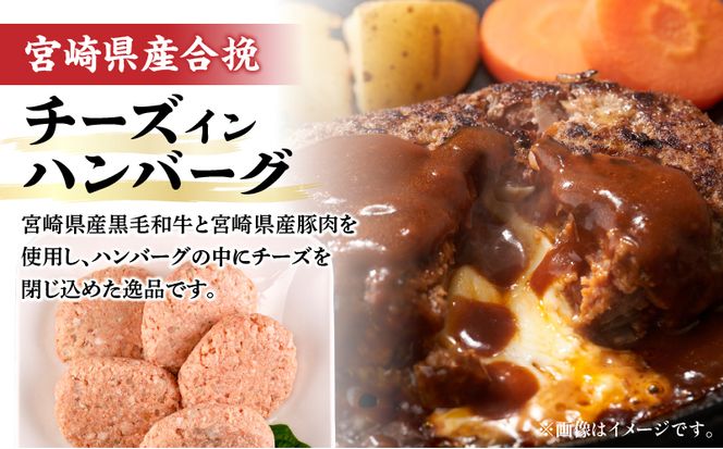 宮崎県産豚 ロース1kg&チーズインハンバーグ5個 セット_M132-039