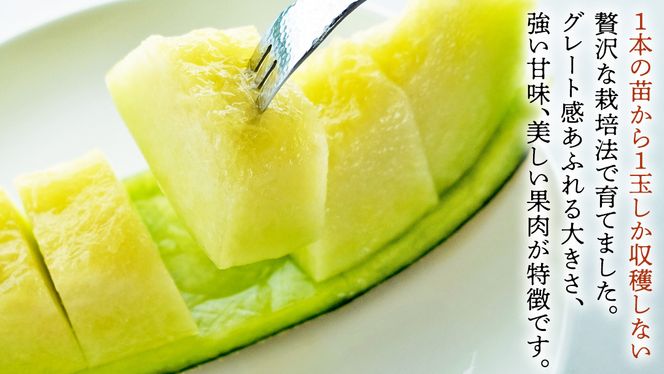 完熟 アールスメロン 大箱 4玉～5玉 2026年産 先行予約 メロン マスクメロン 青肉 果物 フルーツ 茨城県産 期間限定 数量限定 [AF082ci]