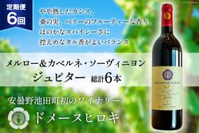 6回 定期便 ワイン メルロー＆カベルネ・ソーヴィニョン ジュピター750ml×1本 計6本 [ヴィニョブル安曇野(ドメーヌ・ヒロキ) 長野県 池田町 48110603] 赤ワイン 赤 酒 お酒 果実酒 フルーティ