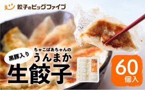 ちゃこばあちゃんの黒豚入りうんまか生餃子　60個入り　K027-001