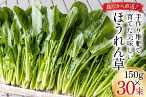 CH011 ほうれん草 150g×30束[ホウレンソウ 野菜]