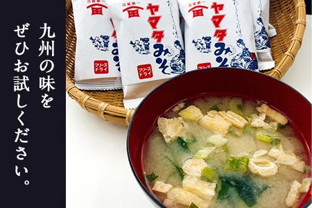 「田河東洋男商店」 ふるさと 簡単味噌汁ギフト 14g×20食分 熊本県氷川町産《30日以内に出荷予定(土日祝除く)》---sh_tagawamiso_30d_24_14000_20p---