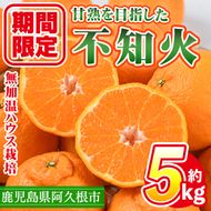 ＜先行予約受付中！2026年1月上旬以降順次発送予定＞数量限定！鹿児島県産無加温ハウス栽培 不知火(計約5kg：大将季) 柑橘 果物 くだもの フルーツ 旬 しらぬい シラヌイ ハウス栽培 無加温 数量限定 期間限定【三笠農業生産】akn051-12