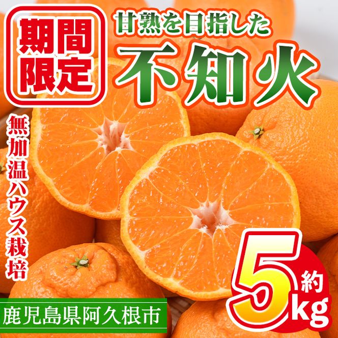 yvszs\tI2026N1{ȍ~\聄ʌIYnEX͔| sm(v5kgF叫G) k ʕ  t[c { ʂ VkC nEX͔|  ʌ ԌyO}_ƐYzakn051-12