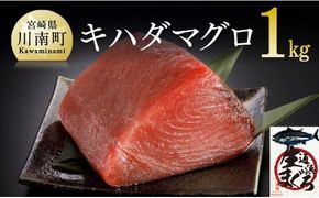 漁協直送！キハダマグロブロック（生）1kg 【 鮪 まぐろ 刺身 マグロ 漬け 新鮮 冷蔵 海の幸 魚介 送料無料 】[H170801]