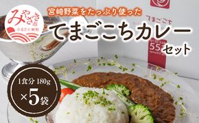 てまごこちカレー(180g×5袋)セット_M054-001