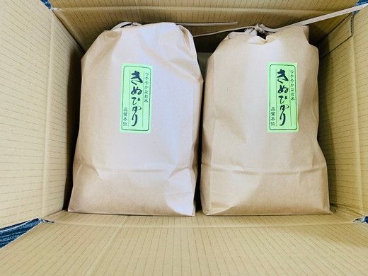 令和5年産　近江米　キヌヒカリ【10kg（5kg×2袋）】環境こだわり米【AB63SM】