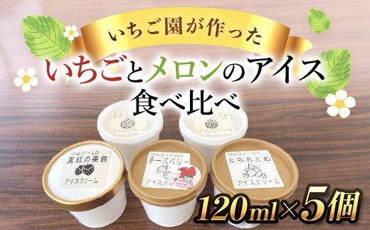 [希少品種]いちごとメロンのアイス 食べ比べ5個セット