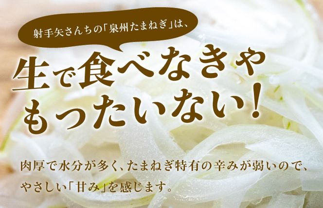 G1319 射手矢さんちの泉州プレミアムたまねぎ5kgとドレッシング 200ml×1本