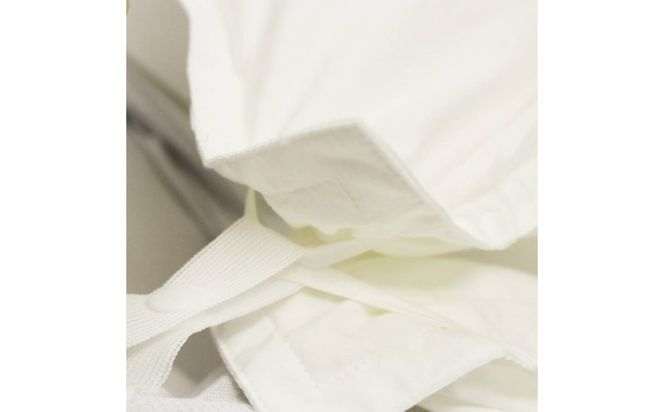 GS045とろける羽毛ふとん［ダブル］合掛けふとん専用カバー付き・［ダブル］肌掛けふとん専用カバー付き/プラチナ