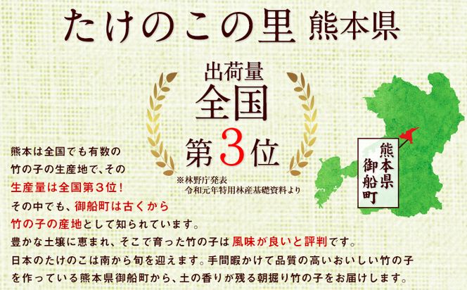 【2025年3月先行予約】熊本県 御船町 掘りたて たけのこ 4kg タケノコ 竹の子 冷蔵 ギフト グルメ 野菜 お祝い 春 筍《2025年3月上旬-4月下旬頃出荷》 有限会社ニシムラ---sm_cnisinoko25_ak3_24_19500_4kg---