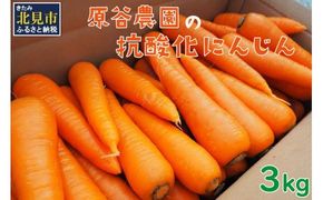 【予約：2025年8月下旬から順次発送】原谷農園の抗酸化にんじん 3kg ( 野菜 人参 農園 期間限定 ふるさと納税 )【058-0006-2025】