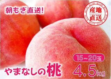 【先行予約】【2024年発送】矢崎さん家のもも 15～20玉 （約4.5kg）桃 もも 山梨県産 フルーツ くだもの 果物 産地直送 [B5702]