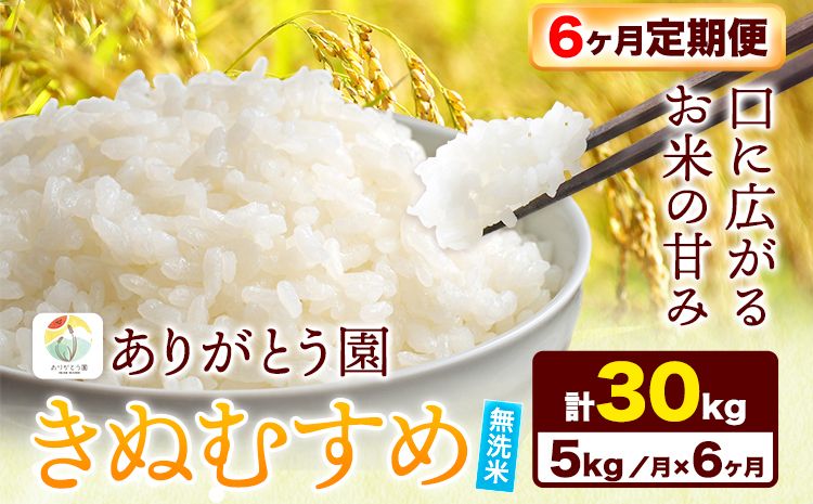 [6ヶ月定期便] 令和6年産 米 岡山県産 きぬむすめ 無洗米 5kg ありがとう園[お申込み月の翌月から出荷開始]岡山県 矢掛町 無洗米 米 コメ 一等米 定期便 定期---osy_aekmtei_23_63000_mo6num_5---