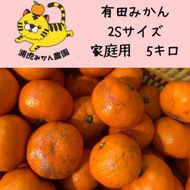 訳あり温州みかん 家庭用 5kg（SSサイズ）小さなミカンが好きな人におすすめ    DB024