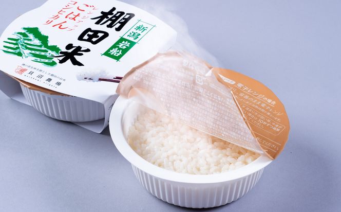 【令和7年産米】新潟県村上市岩船産 棚田米コシヒカリのパックごはん(150ｇ×20個) AB4039