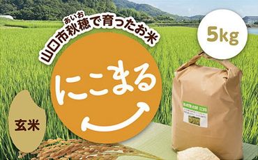 D246 あいお（秋穂）で育ったお米 にこまる 玄米 5kg