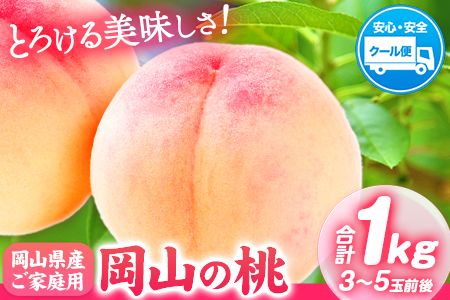 桃[2025年先行予約] 岡山県産 岡山の桃 合計 1kg 3〜5玉前後 ご家庭用 訳あり スイーツ フルーツ 果物 デザート 旬 岡山県矢掛町 [2025年6月下旬-9月上旬頃出荷] モモ もも 桃 先行 予約 送料無料 ---ofn_cwomx_l69_23_10000_1000---