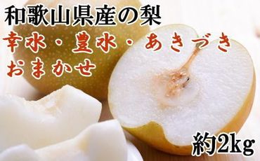 和歌山県産の梨約2kg(品種おまかせ)★2024年8月下旬頃より順次発送　XH92144