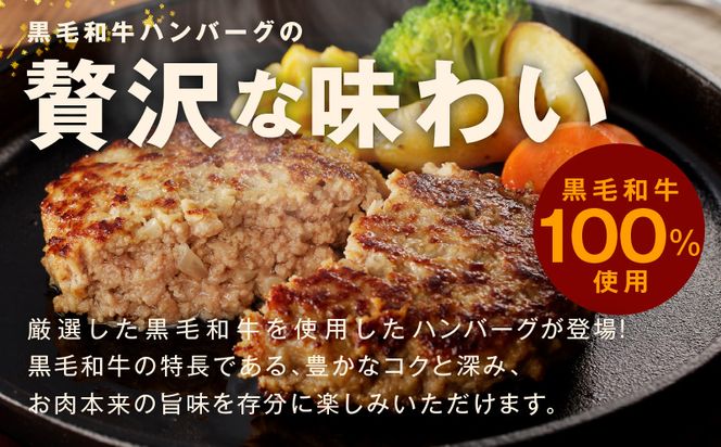 CFX0002 【黒毛牛肉100%】極み ハンバーグ 180g×20P BIGサイズ 総量 3.6kg【ハンバーグ 牛肉 黒毛和牛 100% 人気 便利 オススメ 生ハンバーグ 冷凍 小分け 個包装 お弁当 惣菜 おかず 焼くだけ 簡単調理 家計応援】