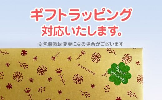 木のおもちゃ、出産祝いセットＳＹ