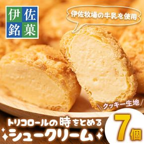 isa246 伊佐銘菓！トリコロールのシュークリーム＜クッキー生地＞(7個)【ケーキハウストリコロール】