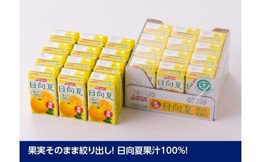 飲料 『サンA日向夏ジュース100%』125ml×24本セット☆ [F3021]