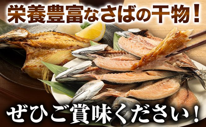 地元産 さば干物 5尾 株式会社はし長 《30日以内に出荷予定（土日祝除く）》 和歌山県 日高町 さば 鯖 干物 ---wsh_fhsn8_30d_23_12000_5b---