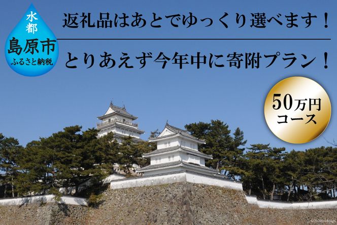 AE255 返礼品はあとでゆっくり選べます！とりあえず今年中に寄附プラン！　【50万円コース】