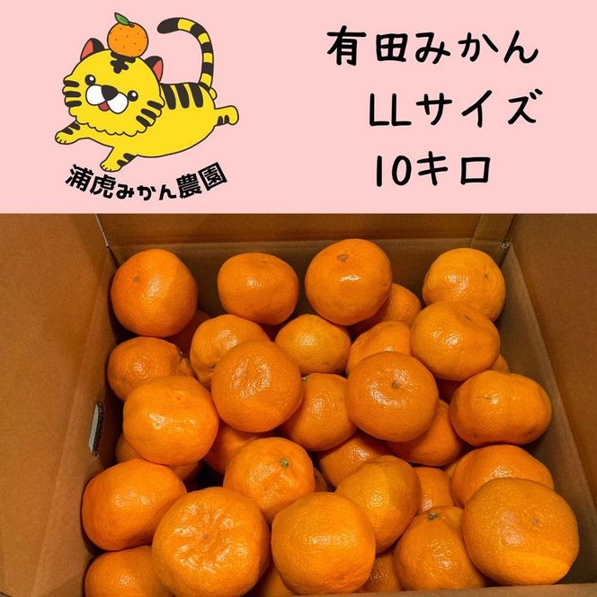12/23までにご入金確認分は年内発送確定！きれいな温州みかん 寄贈用にお勧め LLサイズ 箱込み10kg 	DB022