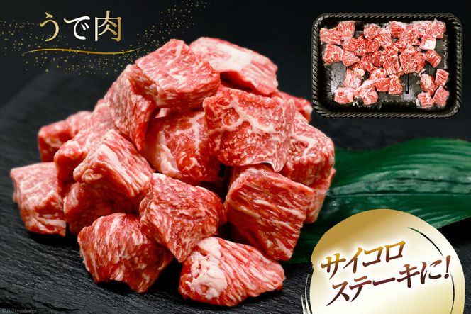 肉 牛肉 宮崎牛うで肉 サイコロカット 500g×2 計1kg [牛心フードサービス 宮崎県 美郷町 31bm0026] 冷凍 小分け ウデ ウデ肉 うで うで肉ブランド牛 宮崎牛 さいころ サイコロ