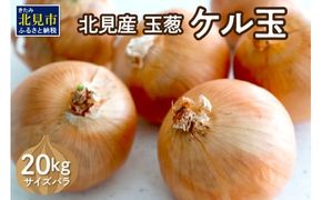 【予約：2025年11月から順次発送】北見産玉ねぎ ケル玉 20kg ( 機能性玉葱 サイズバラ 玉ねぎ たまねぎ タマネギ 玉葱 オニオン ケル玉 野菜 北海道 長期貯蔵 )【133-0002-2025】