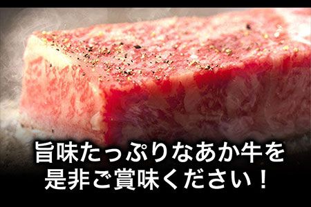 あか牛 サーロインステーキ 計400g(200g×2枚) あか牛の館 《60日以内に出荷予定(土日祝を除く)》熊本県 南阿蘇村---sms_faksirlo_60d_r7_28000_400---