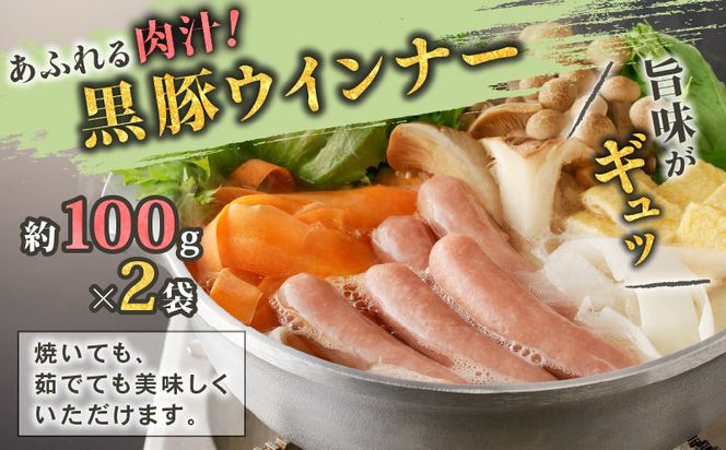 【10営業日以内に発送】鹿児島黒豚 バラエティーセット　K091-008